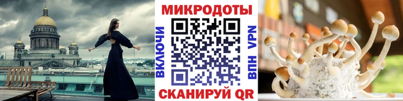 Псилоцибиновые грибы мухоморы  Томари 